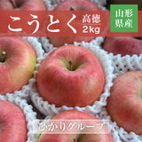 りんご 【ひかりグループ】 高徳 こうとく 2kg 6～12個 山形県 《11/中旬～11/下旬より出荷》