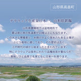 ぶどう 【Hinataぶどう園】 デラウェア 1㎏ L~2L 6~7房 山形県高畠町 《7/下旬～8/中旬の出荷》