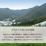 ぶどう 【Hinataぶどう園】 デラウェア 1㎏ L~2L 6~7房 山形県高畠町 《7/下旬～8/中旬の出荷》