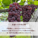 ぶどう 【Hinataぶどう園】 デラウェア 1㎏ L~2L 6~7房 山形県高畠町 《7/下旬～8/中旬の出荷》