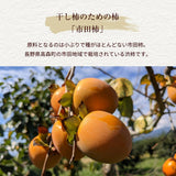 干し柿 【市田屋】 市田柿 2L 約500g 15個 桐箱入り 個包装 贈答用 長野県 高森町 干柿 ころ柿 枯露柿 《12/15頃～12/下旬より出荷》