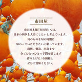 干し柿 【市田屋】 市田柿 ２L 840g 28個 贈答用 化粧箱 長野県 高森町  干柿 ころ柿 枯露柿 《12/15頃～12/下旬より出荷》