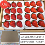 いちご 【ふるや農園】 食べ比べ 苺 ゆうやけベリー やよいひめ 600g 12～15粒×2パック 福島県