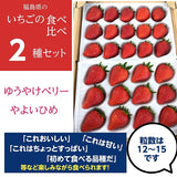 いちご 【ふるや農園】 食べ比べ 苺 ゆうやけベリー やよいひめ 600g 12～15粒×2パック 福島県