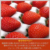 いちご 【ふるや農園】 食べ比べ 苺 ゆうやけベリー やよいひめ 600g 12～15粒×2パック 福島県