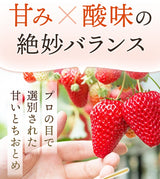いちご 【有慶農園】 とちおとめ  250ｇ×４パック 福島県須賀川 苺 イチゴ