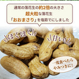 ピーナッツ 落花生 【実川文雄商店】 ゆで落花生 おおまさり 160g ×2袋 ポスト投函 八街産 千葉県八街市