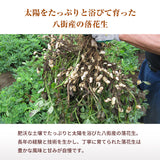 ピーナッツ 落花生 【実川文雄商店】 ゆで落花生 おおまさり 160g ×2袋 ポスト投函 八街産 千葉県八街市