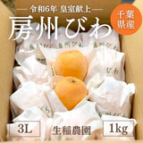 びわ 【生稲農園】 房州びわ 約1kg 12個 3L 枇杷 皇室献上の実績 父の日 千葉県南房総市《5/中旬～5/下旬より出荷》