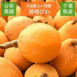びわ 【谷柴農園】 房州びわ L~2L 1kg  袋入れ 枇杷 千葉県南房総市 天皇献上の実績 《4/下旬～5/上旬より出荷》