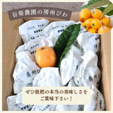 びわ 【谷柴農園】 房州びわ L~2L 1kg  袋入れ 枇杷 千葉県南房総市 天皇献上の実績 《4/下旬～5/上旬より出荷》