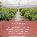 ライチ 【ミキファーム】 国産 生ライチ 450g 特選 大粒 12個 贈答用 御中元 宮崎県高鍋町 《7/上旬～7/下旬の出荷》