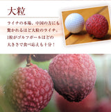 ライチ 【ミキファーム】 国産 生ライチ 1kg サイズ色々 贈答用 御中元 宮崎県高鍋町 《7/上旬～7/下旬の出荷》
