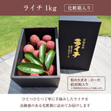 ライチ 【ミキファーム】 国産 生ライチ 1kg サイズ色々 贈答用 御中元 宮崎県高鍋町 《7/上旬～7/下旬の出荷》