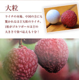 ライチ 【ミキファーム】 国産 生ライチ 600g サイズ色々 贈答用 御中元 宮崎県高鍋町 《7/上旬～7/下旬の出荷》