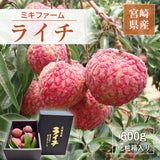 ライチ 【ミキファーム】 国産 生ライチ 600g サイズ色々 贈答用 御中元 宮崎県高鍋町 《7/上旬～7/下旬の出荷》