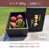 ライチ 【ミキファーム】 国産 生ライチ 600g サイズ色々 贈答用 御中元 宮崎県高鍋町 《7/上旬～7/下旬の出荷》