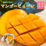 冷凍マンゴー 【メリーファーム】 マンゴーピューレ 冷凍 500g 農薬不使用 化学肥料不使用 栃木県栃木市