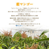 冷凍マンゴー 【メリーファーム】 マンゴーピューレ 冷凍 1kg(500g×2)  農薬不使用 化学肥料不使用 栃木県栃木市