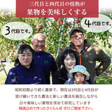 さくらんぼ 【まるもと農園】 紅秀峰 440g (220g×2P) 長野県松川町