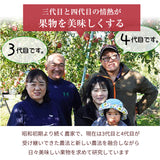りんご 【まるもと農園】長期保存用 サンふじ 5kg 9～20個 長野県松川町 ふじ フジ《12/上旬～12/中旬より出荷》