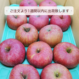 りんご 【まるもと農園】長期保存用 サンふじ 5kg 9～20個 長野県松川町 ふじ フジ《12/上旬～12/中旬より出荷》