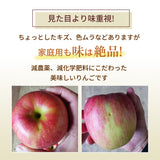 りんご 【まるもと農園】 家庭用 4.5kg 9～15個 長野県松川町 林檎 秋映 シナノスイート シナノゴールド ぐんま名月 はるか 《9/中旬～9/下旬より出荷》