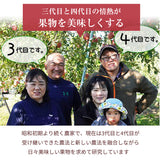 りんご 【まるもと農園】 家庭用 4.5kg 9～15個 長野県松川町 林檎 秋映 シナノスイート シナノゴールド ぐんま名月 はるか 《9/中旬～9/下旬より出荷》