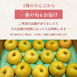 りんご 【まるもと農園】 贈答用 4.5kg 9～15個 長野県松川町 林檎 秋映 シナノスイート シナノゴールド ぐんま名月 はるか 《9/中旬～9/下旬より出荷》