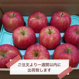 りんご 【まるもと農園】 贈答用 4.5kg 9～15個 長野県松川町 林檎 秋映 シナノスイート シナノゴールド ぐんま名月 はるか 《9/中旬～9/下旬より出荷》