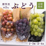 ぶどう 【マルサフルーツ】 葡萄 詰め合わせ 2～3種 シャインマスカット入り 2～4房 2kg 贈答用 山梨県笛吹市《8/下旬～9/上旬より出荷》