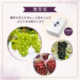 ぶどう 【マルサフルーツ】 葡萄 詰め合わせ 2～3種 シャインマスカット入り 2～4房 2kg 贈答用 山梨県笛吹市《8/下旬～9/上旬より出荷》