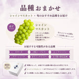 ぶどう 【マルサフルーツ】 葡萄 詰め合わせ 2～3種 シャインマスカット入り 2～4房 2kg 贈答用 山梨県笛吹市《8/下旬～9/上旬より出荷》