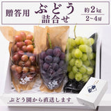 ぶどう 【マルサフルーツ】 葡萄 詰め合わせ 2～3種 シャインマスカット入り 2～4房 2kg 贈答用 山梨県笛吹市《8/下旬～9/上旬より出荷》