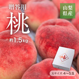 桃 【マルサフルーツ】 もも 大玉 約1.5kg 4～5個 お中元 御中元 山梨県笛吹市 《6/下旬～7/上旬より出荷》