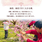 桃 【マルサフルーツ】 もも 大玉 約1.5kg 4～5個 お中元 御中元 山梨県笛吹市 《6/下旬～7/上旬より出荷》