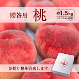 桃 【マルサフルーツ】 もも 大玉 約1.5kg 4～5個 お中元 御中元 山梨県笛吹市 《6/下旬～7/上旬より出荷》