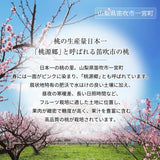 桃 【マルサフルーツ】 もも 山梨一宮産 プレミアム 夢白桃 糖度13.5度以上 特大 2kg 5～6個 お中元 御中元 山梨県笛吹市 《7/上旬～7/中旬より出荷》