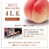 桃 【マルサフルーツ】 もも 山梨一宮産 プレミアム 夢白桃 糖度13.5度以上 特大 2kg 5～6個 お中元 御中元 山梨県笛吹市 《7/上旬～7/中旬より出荷》