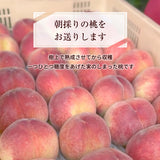 桃 【マルサフルーツ】 もも 山梨一宮産 プレミアム 夢白桃 糖度13.5度以上 特大 2kg 5～6個 お中元 御中元 山梨県笛吹市 《7/上旬～7/中旬より出荷》