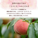 桃 【マルサフルーツ】 もも 山梨一宮産 プレミアム 夢白桃 糖度13.5度以上 特大 2kg 5～6個 お中元 御中元 山梨県笛吹市 《7/上旬～7/中旬より出荷》
