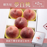 桃 【マルサフルーツ】 もも 山梨一宮産 プレミアム 夢白桃 糖度13.5度以上 特大 2kg 5～6個 お中元 御中元 山梨県笛吹市 《7/上旬～7/中旬より出荷》