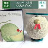 メロン 【あさいメロン農園】 マスクメロン アールスメロン 1玉 1.3kg 贈答用 静岡県磐田市