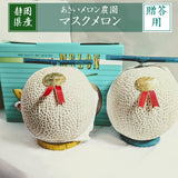 メロン 【あさいメロン農園】 マスクメロン アールスメロン 2玉 2.6kg 贈答用 静岡県磐田市