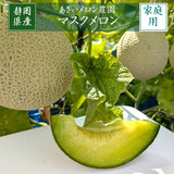 メロン 【あさいメロン農園】 マスクメロン アールスメロン 1玉 1.3kg 家庭用 静岡県磐田市