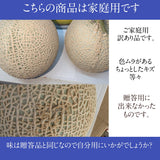 メロン 【あさいメロン農園】 マスクメロン アールスメロン 1玉 1.3kg 家庭用 静岡県磐田市