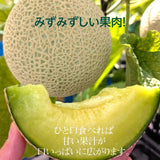 メロン 【あさいメロン農園】 マスクメロン アールスメロン 1玉 1.3kg 家庭用 静岡県磐田市
