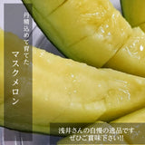 メロン 【あさいメロン農園】 マスクメロン アールスメロン 1玉 1.3kg 家庭用 静岡県磐田市