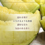 メロン 【ルーツ】 マスクメロン アールスメロン 1玉 1.4～1.6㎏ 贈答用 静岡県袋井市
