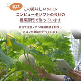 メロン 【ルーツ】 マスクメロン アールスメロン 1玉 1.4～1.6㎏ 贈答用 静岡県袋井市